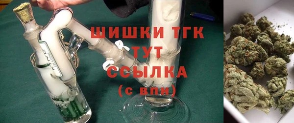 трава Белокуриха
