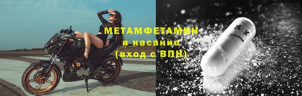 трава Белокуриха