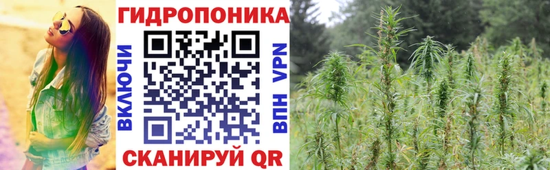 МАРИХУАНА семена мориарти состав Маркс как найти